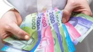 Bonos agosto 2023: consulta con tu RUT que beneficios puedes recibir, montos y fechas de pago, hoy 15 de agosto