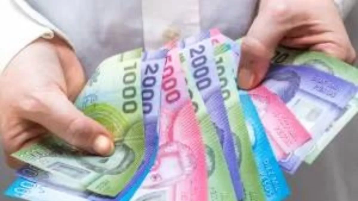 Bonos agosto 2023: Consulta con tu RUT que beneficios puedes recibir, montos y fechas de pago, hoy 13 de agosto