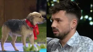 "Chistes de humor negro": Bambino rompe el silencio tras sus malos tratos con Bigote en Gran Hermano Chile
