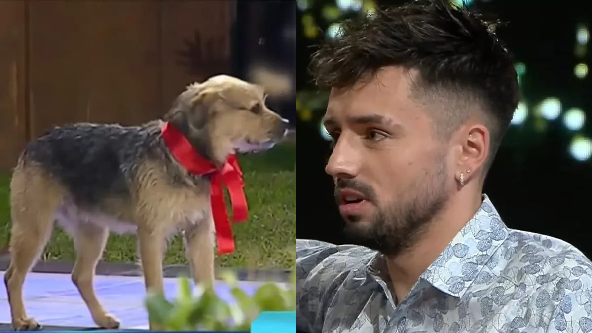 "Chistes de humor negro": Bambino rompe el silencio tras sus malos tratos con Bigote en Gran Hermano Chile