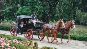 El panorama que te hará sentir en una película clásica: tiene tours en carruaje, es gratis y está a 30 minutos de Santiago