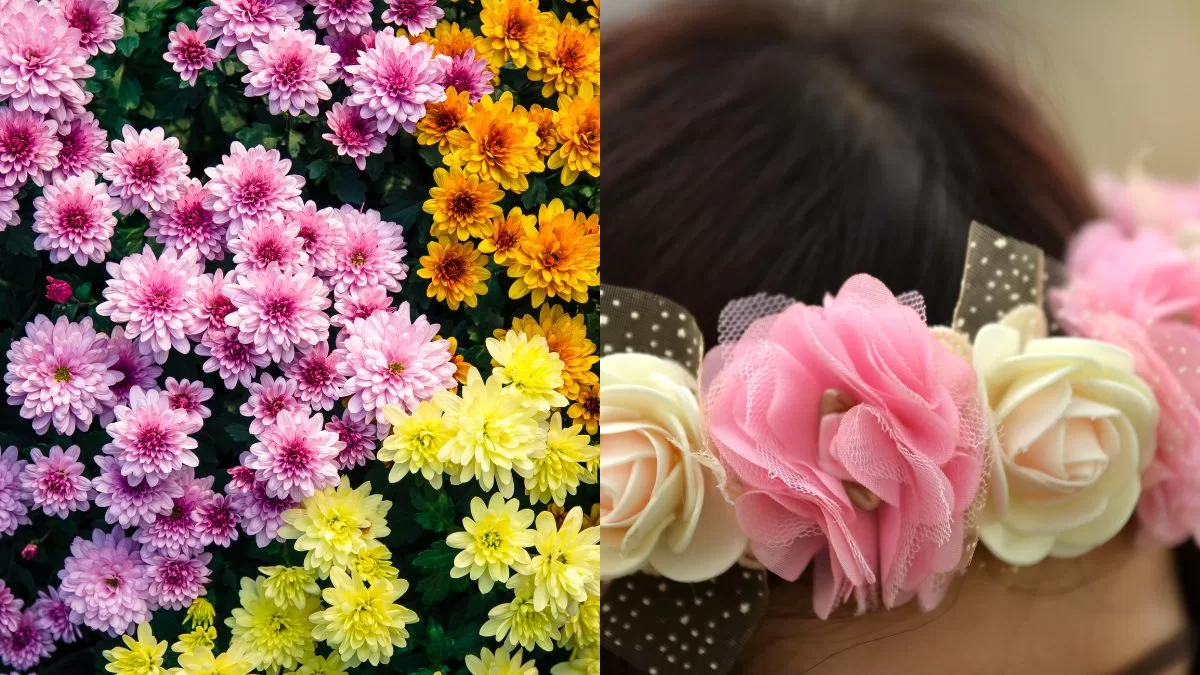 Plantas Para Las Malas Vibras (4)