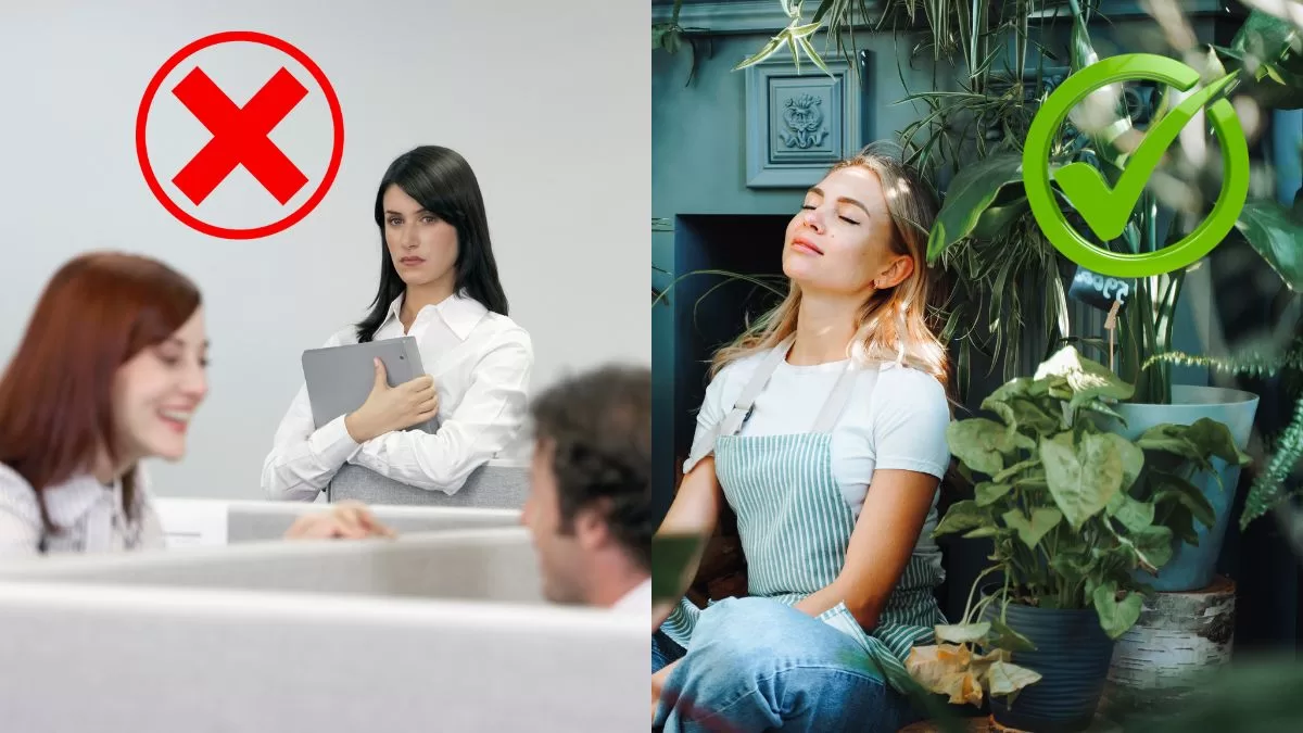 ¿Tienes compañeros de trabajo envidiosos?: Asegúrate de tener estas 5 plantas para espantar las malas vibras