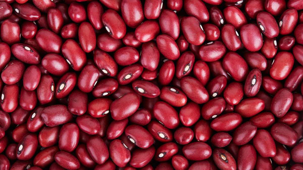 Alimento Problema Visión (5)