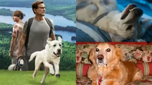 Esta es la emotiva película de Netflix que está inspirada en una historia real y te hará llorar: el protagonista vivió en Chile