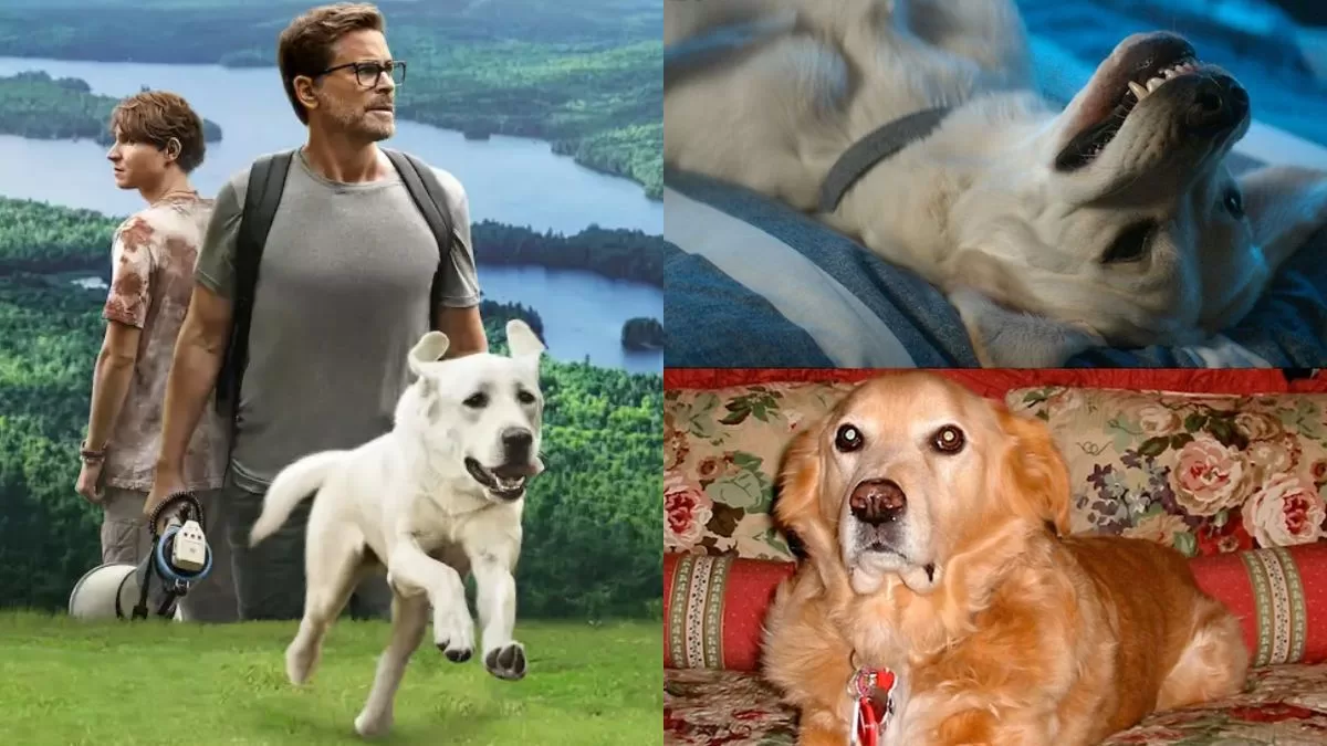 Esta es la emotiva película de Netflix que está inspirada en una historia real y te hará llorar: el protagonista vivió en Chile