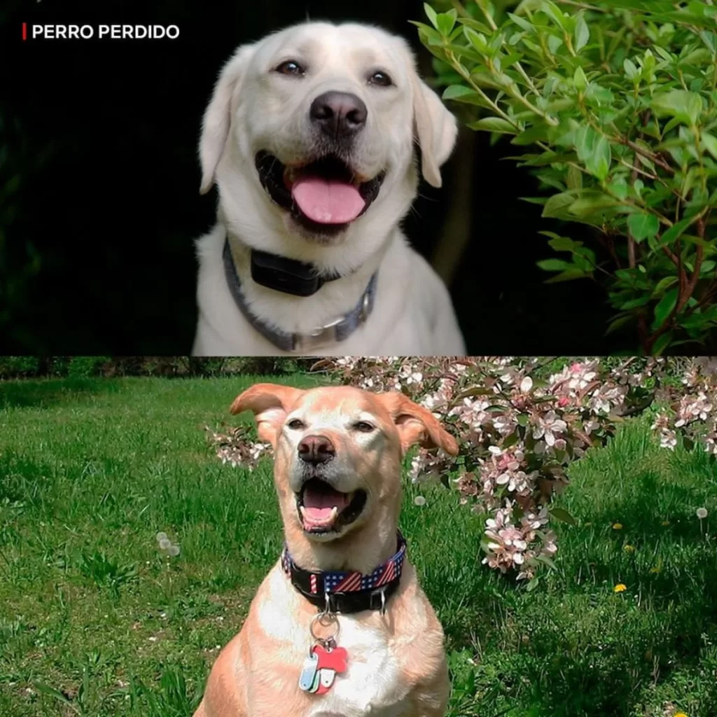 Película Netflix (5)