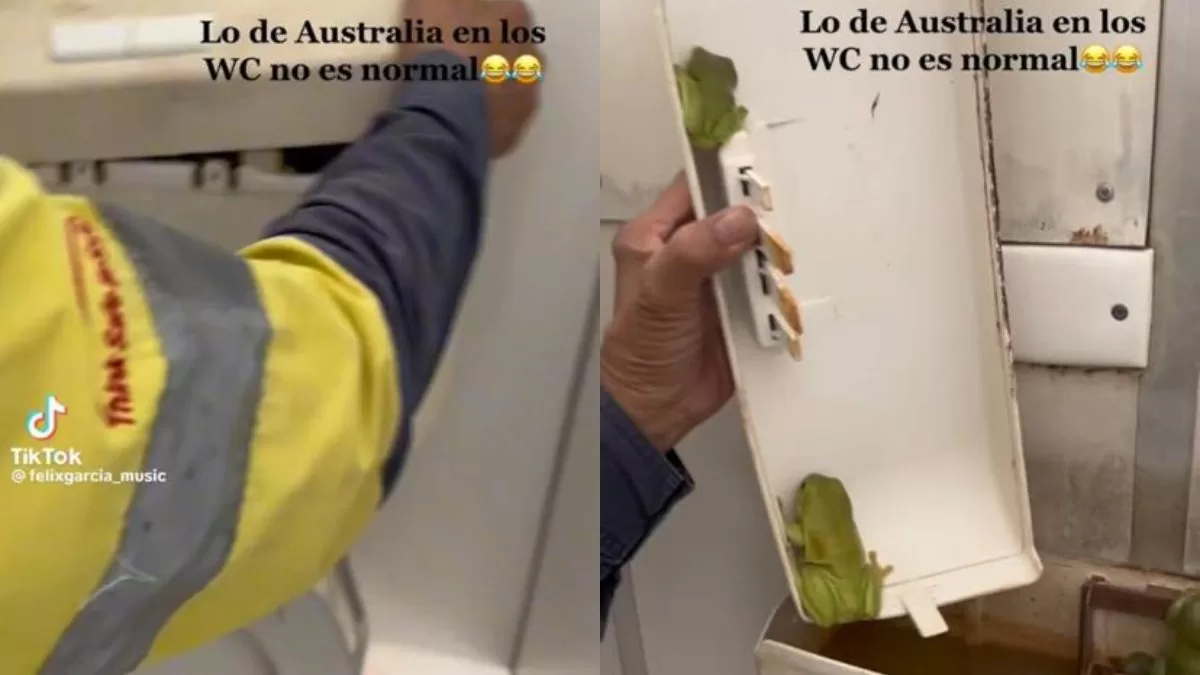 Abrió el WC en Australia y se encontró con una inesperada sorpresa: revisa el video viral de TikTok