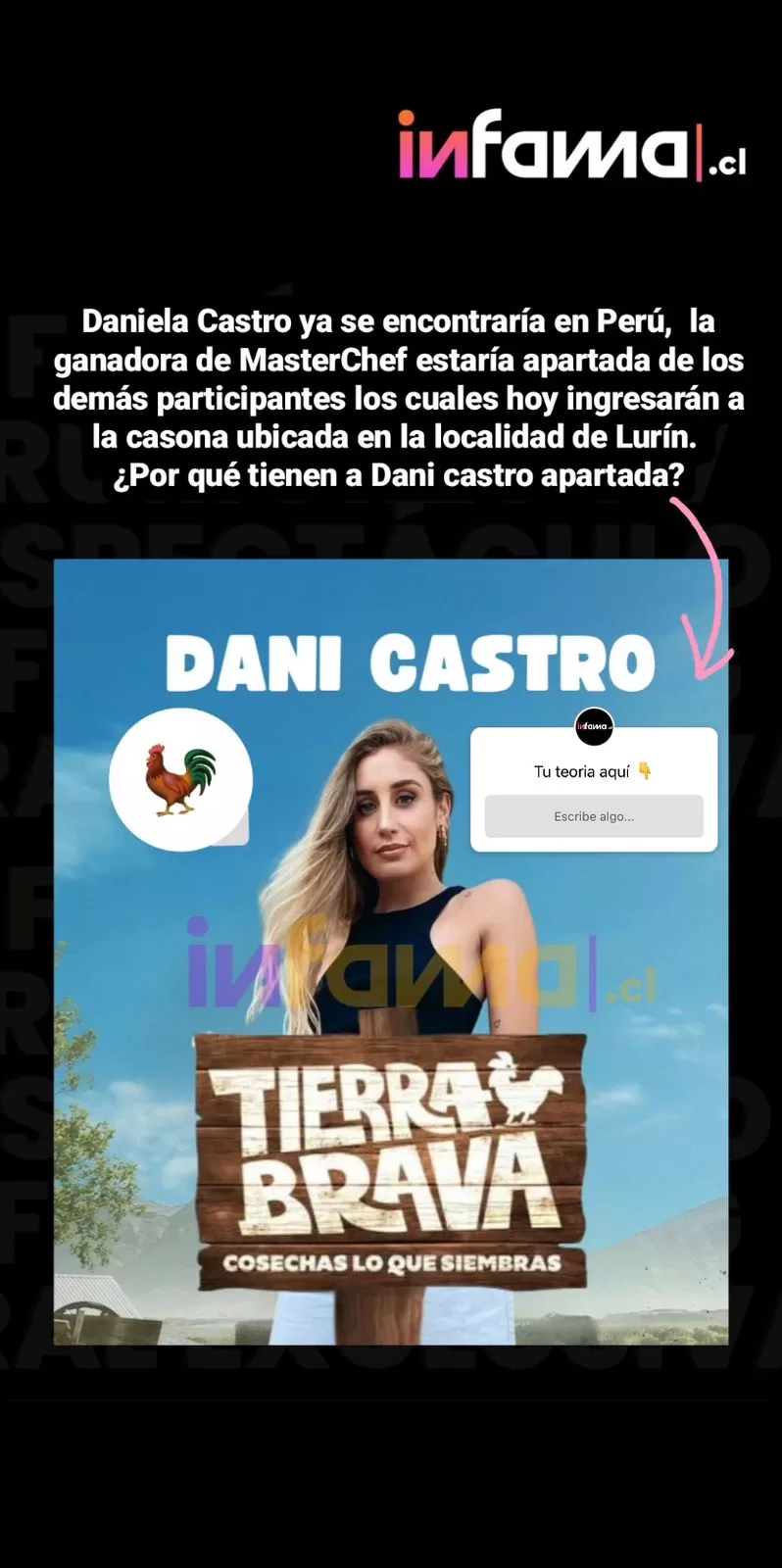 Dani Castro A Tierra Brava