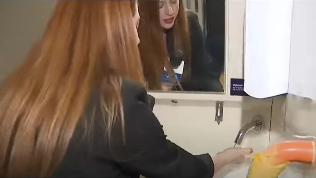 Tren Santiago Chillán (7)