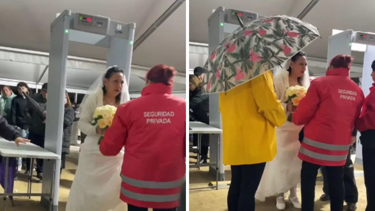 "Esto solo pasa en Chile": Mujer se hizo viral en TikTok tras llegar con particular disfraz al último concierto de Luis Miguel