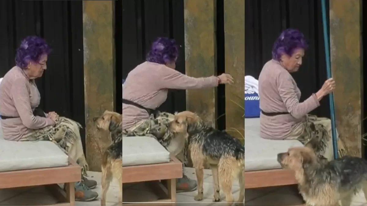 "Hay que eliminarla": Mónica se llenó de críticas tras utilizar un fierro para espantar a Bigote en Gran Hermano Chile