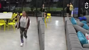 Las teorías que tomaron fuerzas en las redes tras la supuesta pelea a golpes entre Pincoya y Sebastián de Gran Hermano Chile