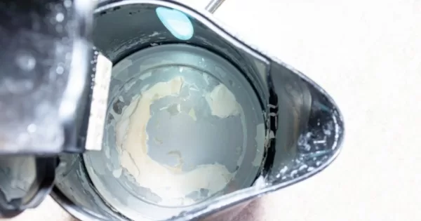 ¿Cómo puedo evitar que se acumule sarro en mi hervidor y con qué ...