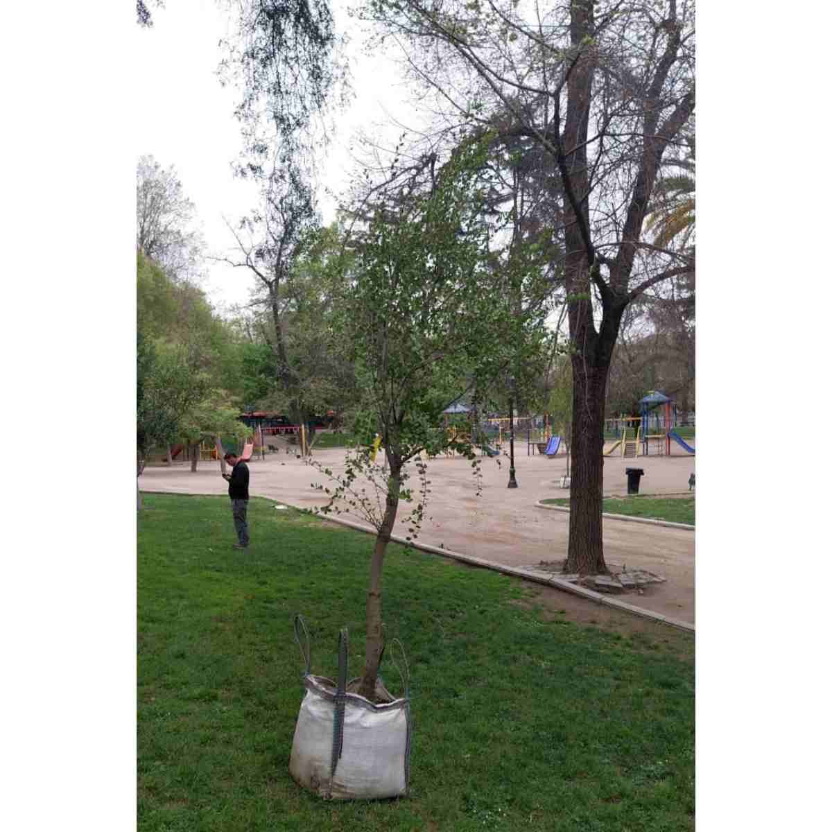 Metro De Santiago (4)