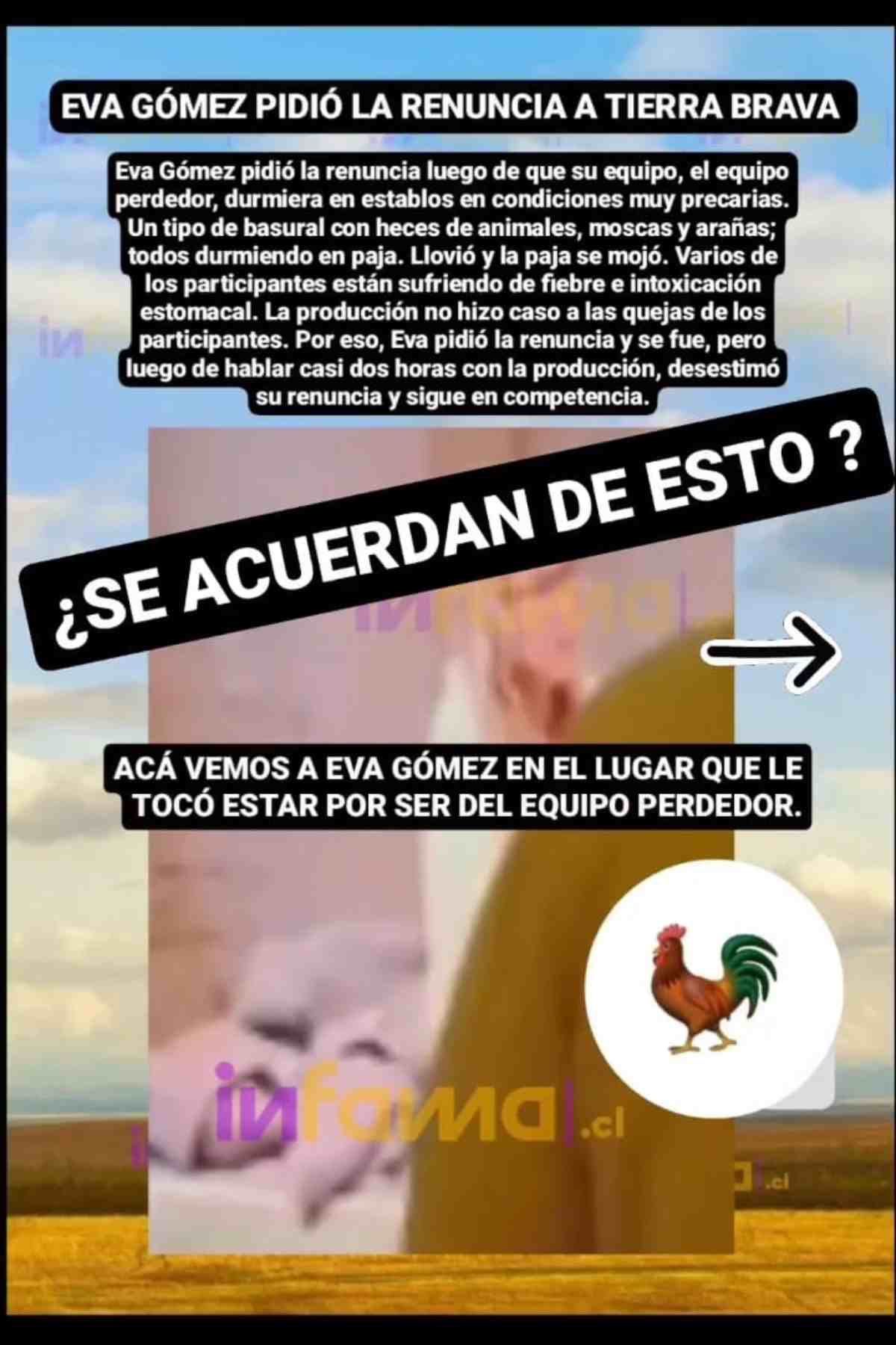 Tierra Brava Participante