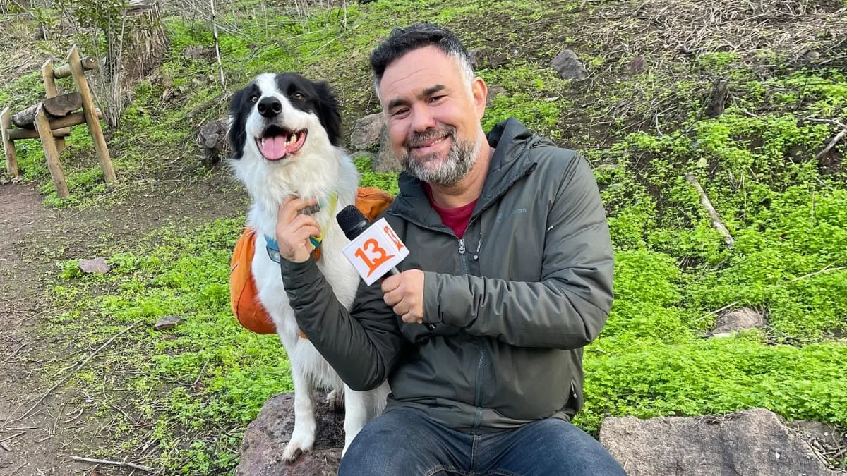 Aseguran que Gianfranco Marcone no sigue en el matinal Tu Día: Esto se sabe de su "supuesta" salida