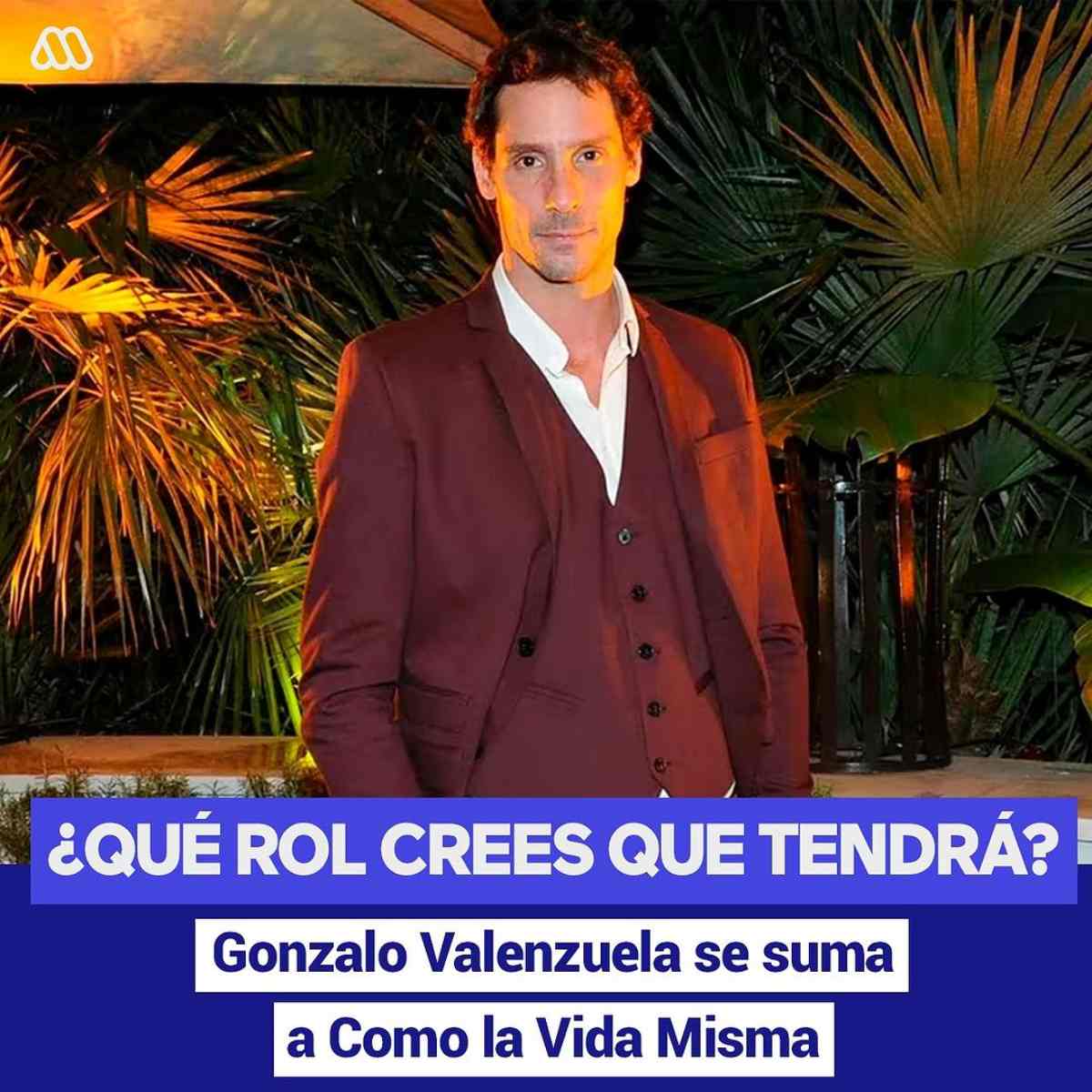 Gonzalo Valenzuela Teleseries