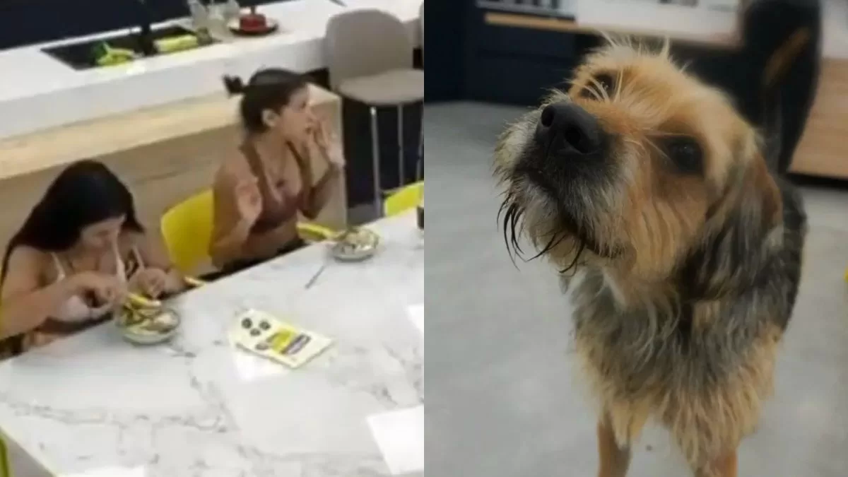 "Yo no estoy ni ahí": Constanza desata opiniones divididas tras revelar agresión a Bigote en Gran Hermano Chile