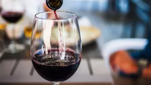 MERCATA 2023 abre sus puertas: El paraíso de los vinos y gastronomía que no te puedes perder