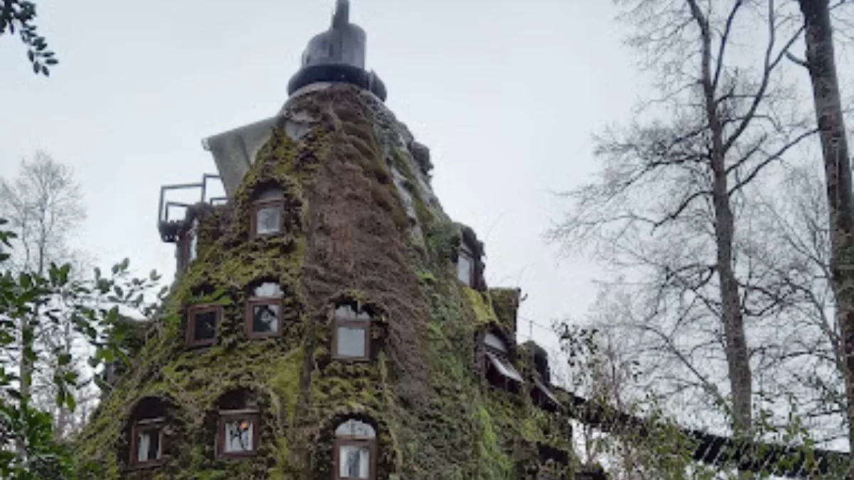 Estos son los tres hoteles más exclusivos de Chile: podrás disfrutar de las bondades que brinda la naturaleza