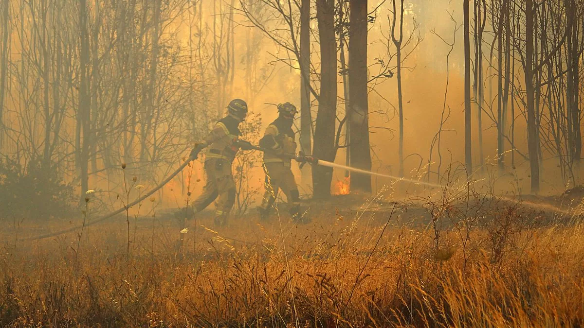 Graves incendios afectan las comunas de Curacaví y San Bernardo: Senapred declara alerta roja