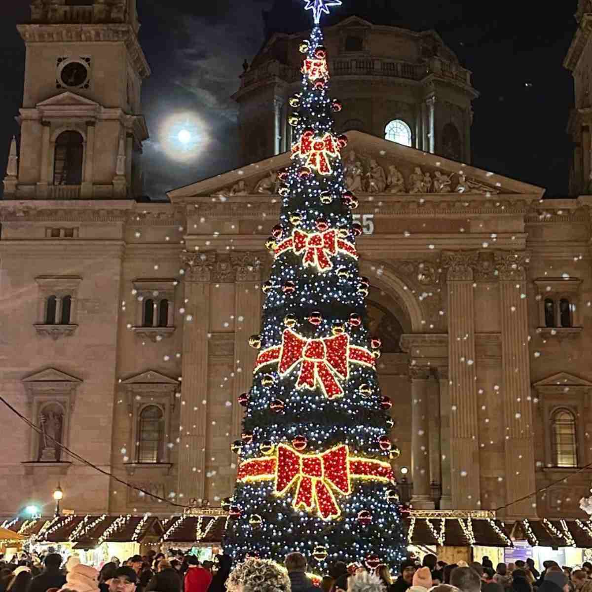 Diana Bolocco Cristian Sanchez (2)