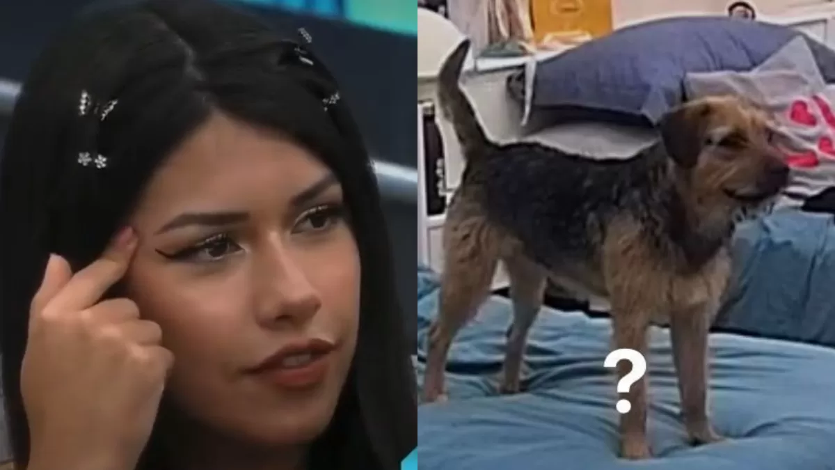 Los mejores memes y reacciones que dejó la final de Gran Hermano Chile
