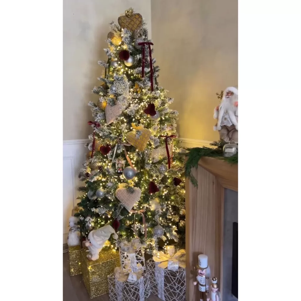 Lisandra Silva Nueva Casa