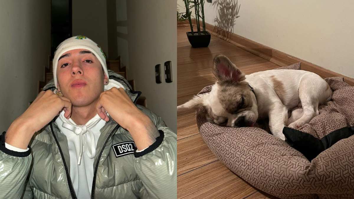 "Jamás llenaré este vacío": Pailita hace importante aclaración tras la muerte de El Casti, su querido perrito