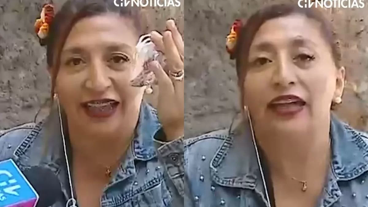 ¡El machitún llamó la atención! Pincoya fue troleada en vivo por Carabinero tras excusarse por no votar