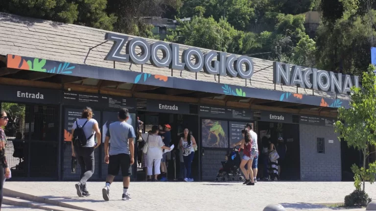 Zoológico Nacional (3)