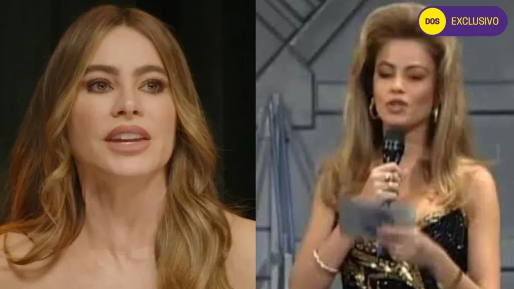 _Festival De Viña Sofía Vergara