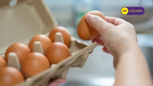 ¿Cuántos huevos se recomienda comer al día? Nutricionista se la juega con revelador dato