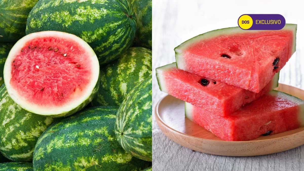 Porción Recomendada Sandía (1)