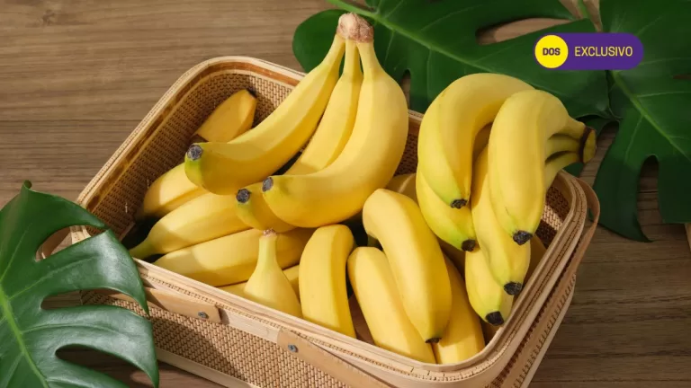 Plátanos Al Día (4)