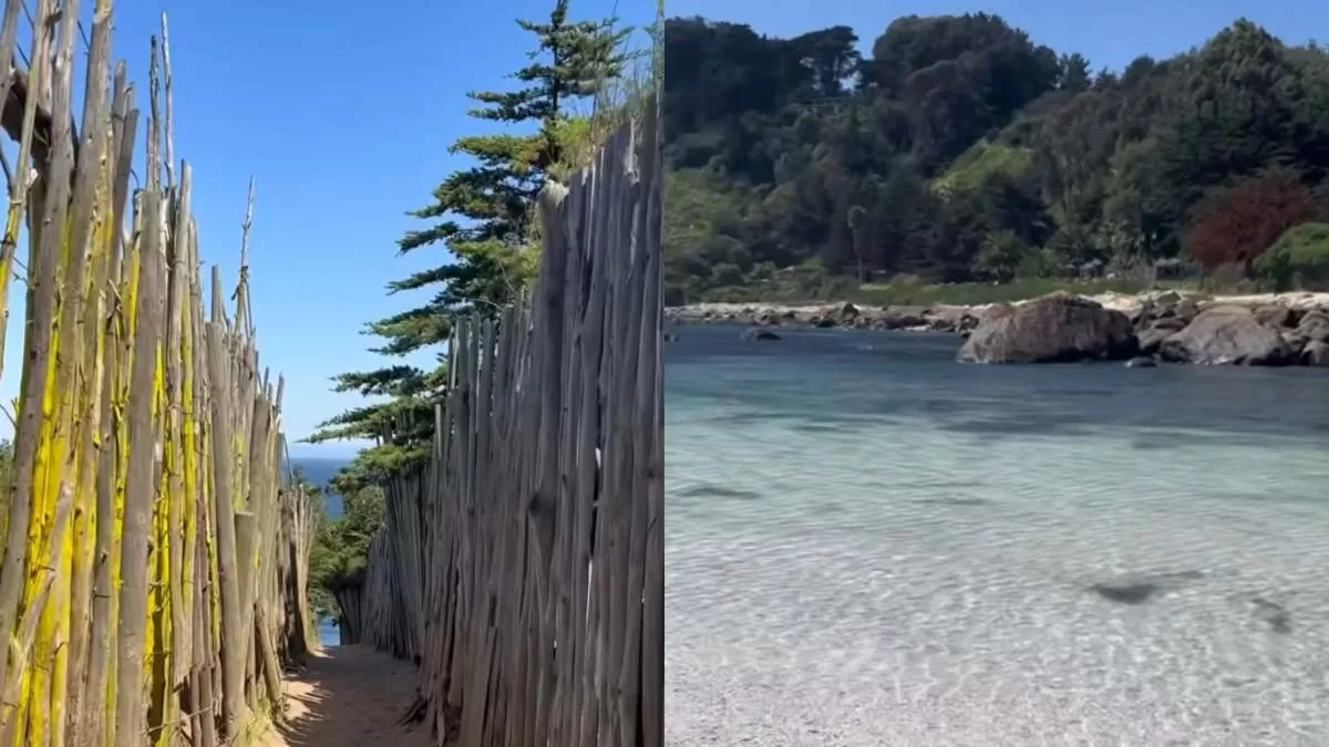 ¡En medio de un sendero! Esta es la playa escondida de Chile que te hará sentir en el paraíso