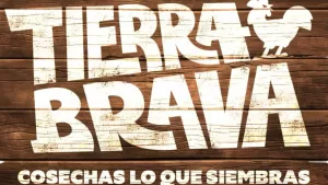 Después de varias semanas de espera: Canal 13 mostró la violenta pelea entre dos participantes de Tierra Brava