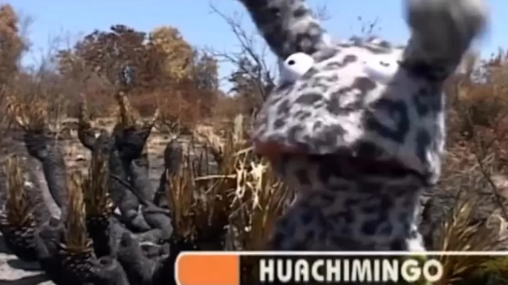 31 Minutos Huachimingo