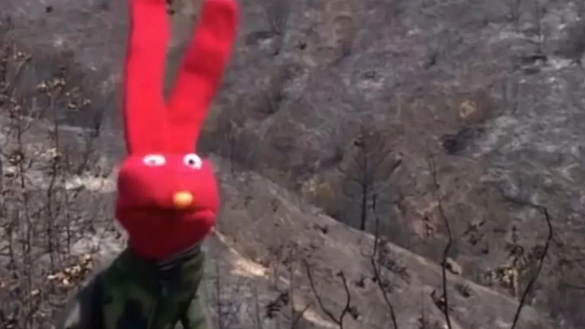 El video de 31 Minutos de hace 20 años que anticipó el incendio en el Jardín Botánico