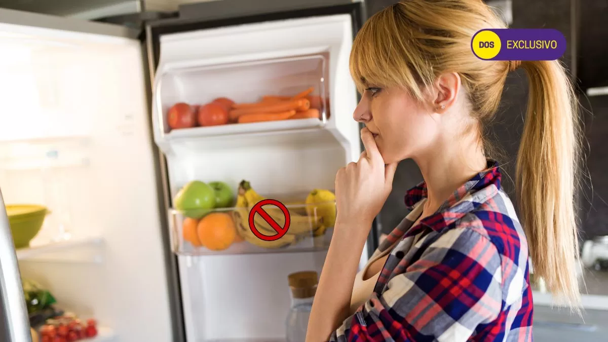 Alimentos Refrigerador (2)