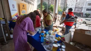 Centros de acopio en Santiago: estos son los lugares a los que puedes llevar tus donaciones a los afectados por los incendios
