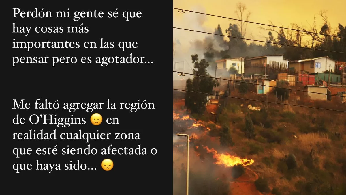 Coté López Incendios (2)