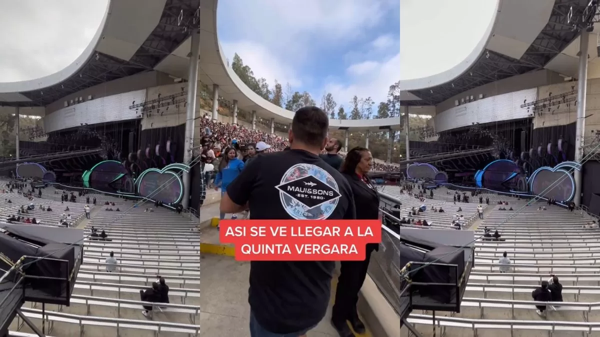 Festival De Viña (12)