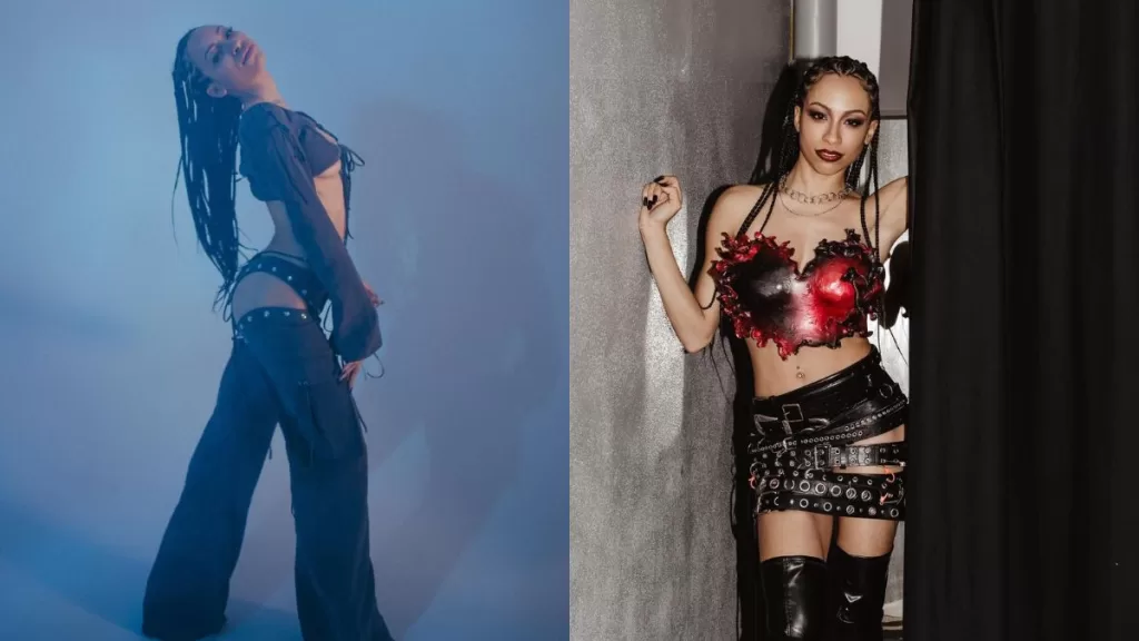 Festival De Viña (21)