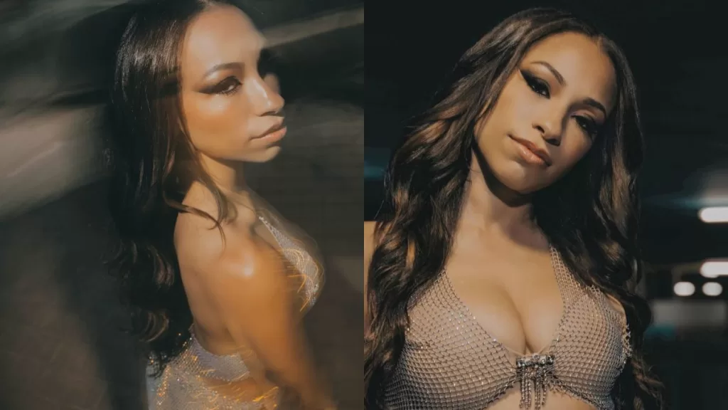 Festival De Viña (22)