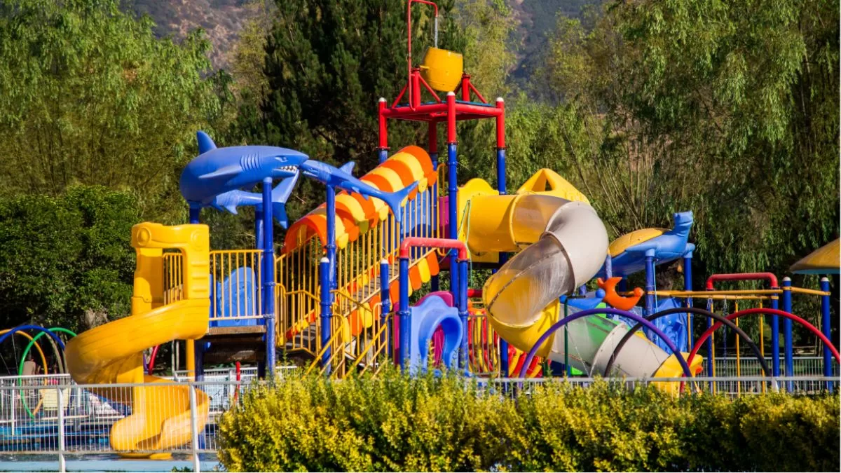 Toboganes, muchas piscinas y delfines: El parque acuático que pocos conocen y es un tesoro en Chile