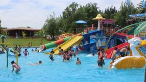 Piscina con olas, toboganes extremos y un pelicano gigante: el increíble parque acuático que pocos conocen en Chile