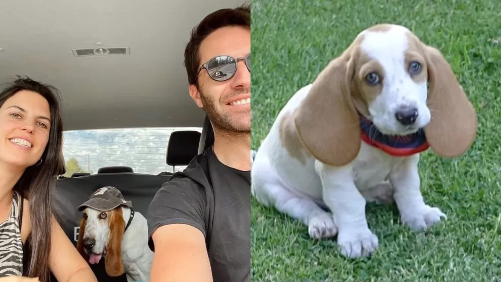 Cristián Arriagada (2)