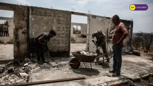 “El daño es enorme…”: Así puedes aportar desde los 500 pesos a Desafío Levantemos Chile para ayudar a los damnificados de los incendios